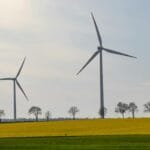 Turbiny wiatrowe na zielono-żółtych polach przy bezchmurnym niebie