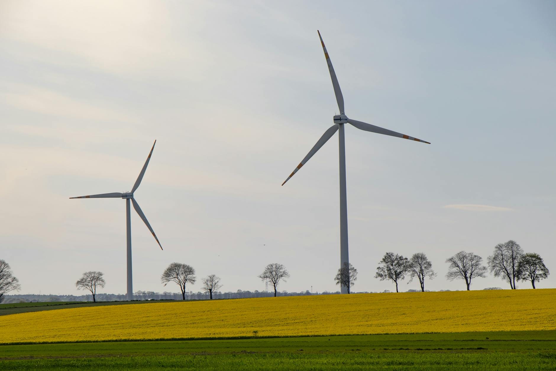 Turbiny wiatrowe na zielono-żółtych polach przy bezchmurnym niebie Turbiny wiatrowe na zielono-żółtych polach przy bezchmurnym niebie