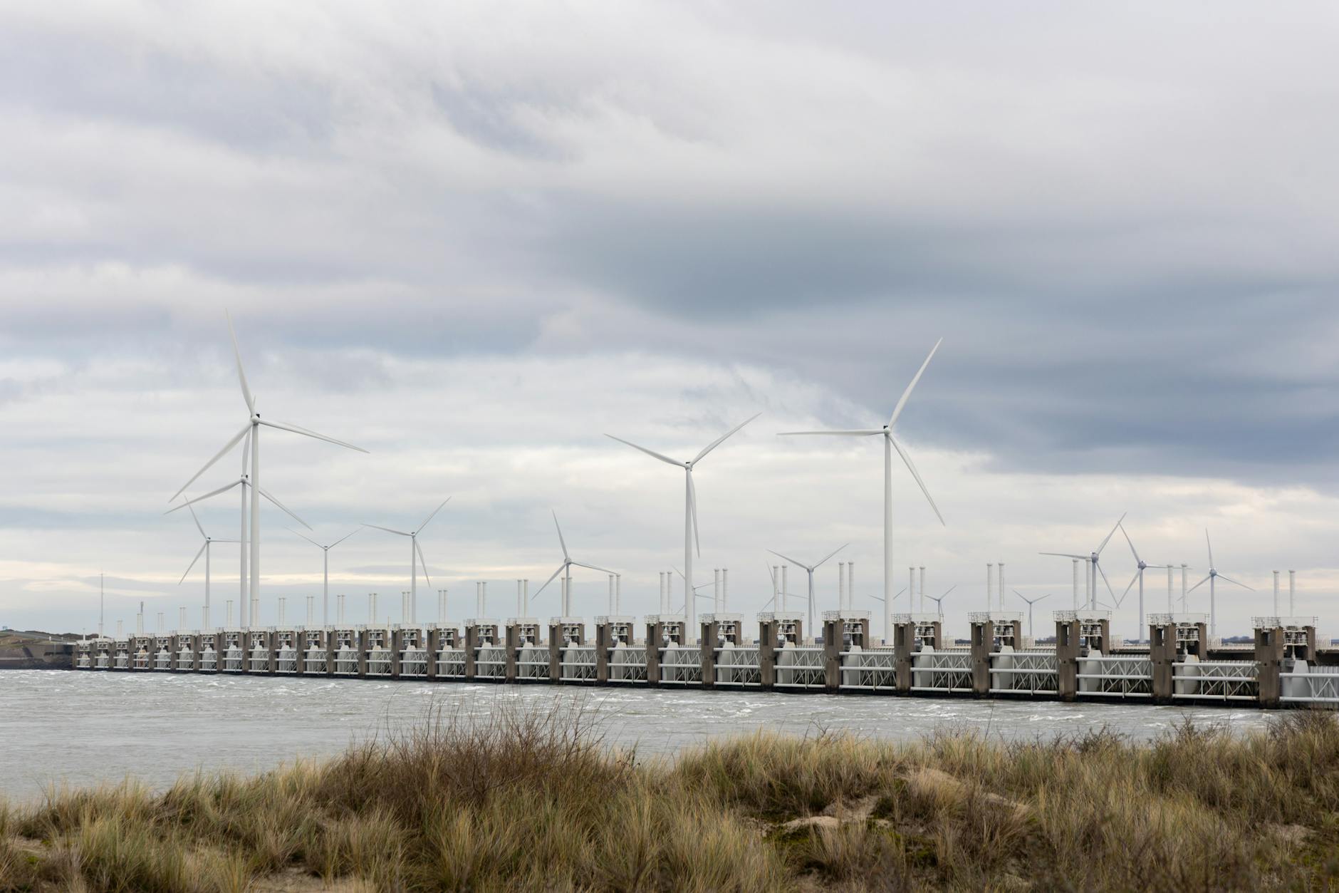 Turbiny wiatrowe przy zaporze Oosterscheldekering w holenderskiej Zelandii